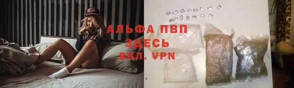 твердый Богородск