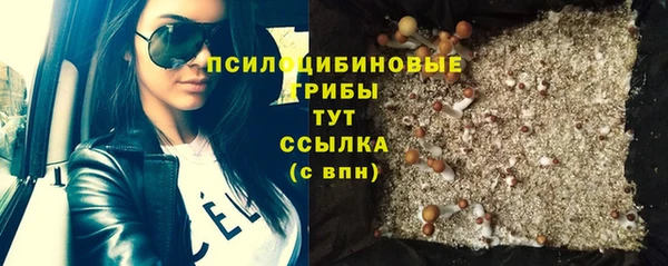 2c-b Богородицк
