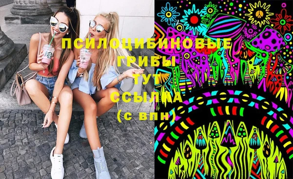 2c-b Богородицк